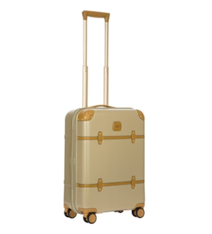 BRIC'S�̃X�[�c�P�[�X�̈������R�~